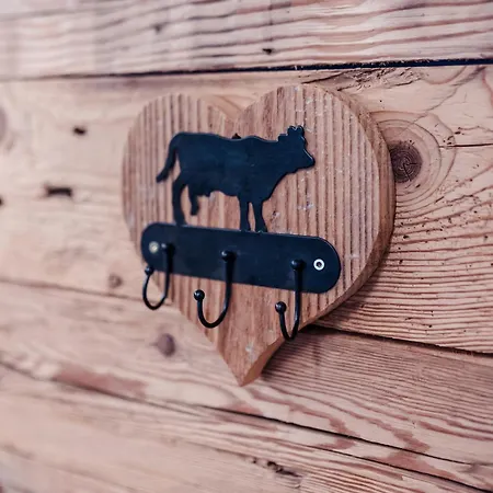 Mit Sauna Direkt An Der Mittelstation Panoramabahn Kitzbuehel